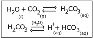 Reação Bicarbonato em estufa de CO2
