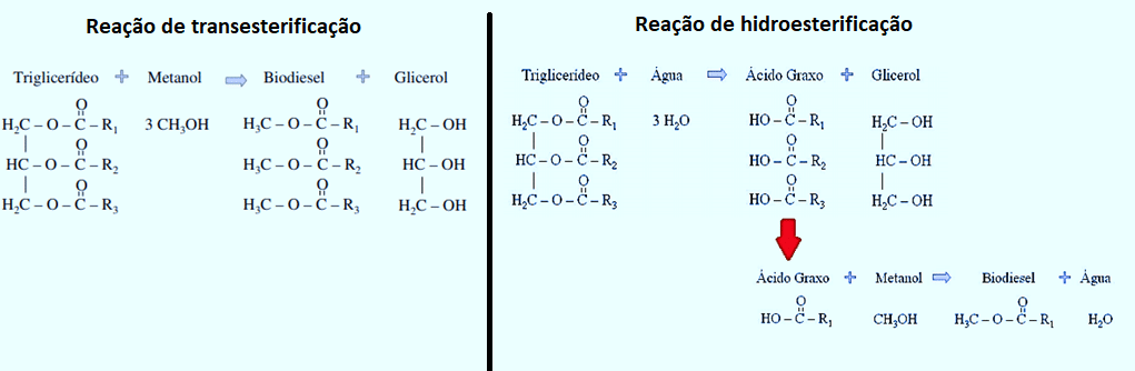 Reação de transesterificação e hidroesterificação